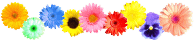 カラフル大きめお花.gif